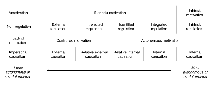 Deci and Ryan Self Determination Theory