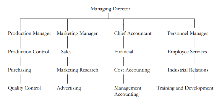 Functional Organization Structures