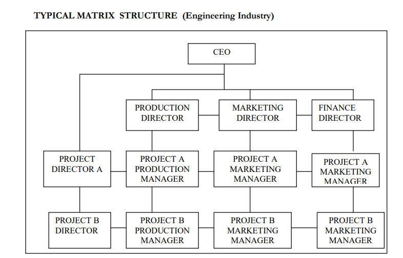 Functional Organization Structures