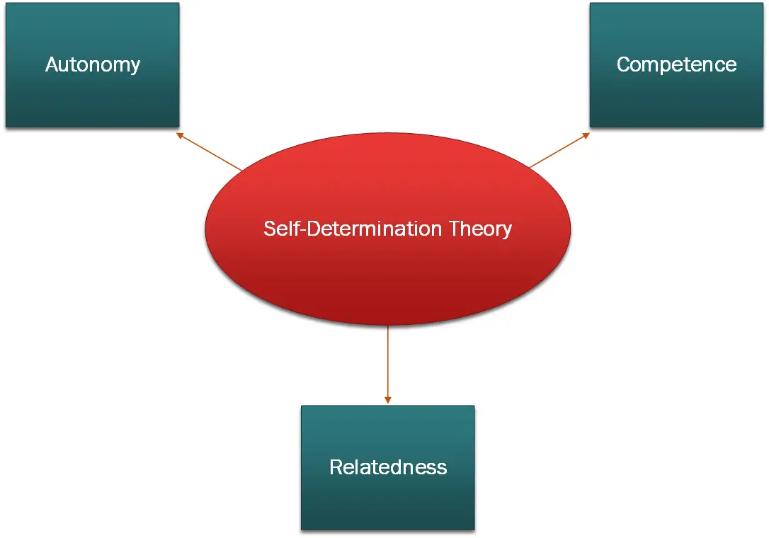 Deci and Ryan Self Determination Theory