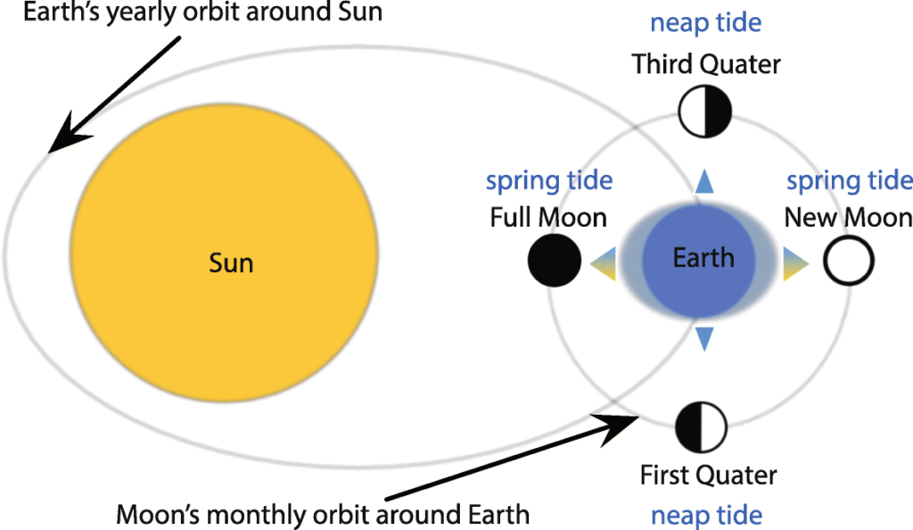 Neap Tide Definition Science