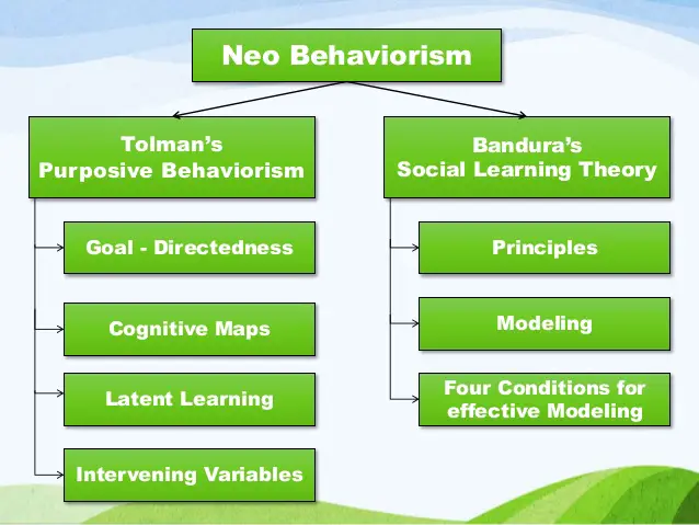 Neobehaviorism Definition and Neobehaviorism Examples