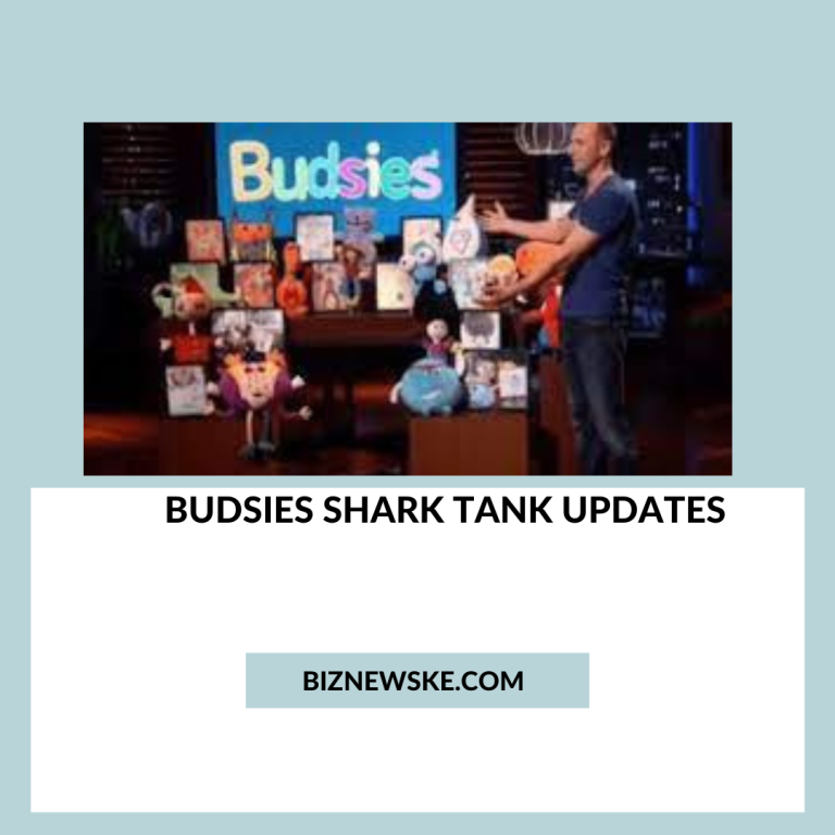 Budsies Shark Tank Updates