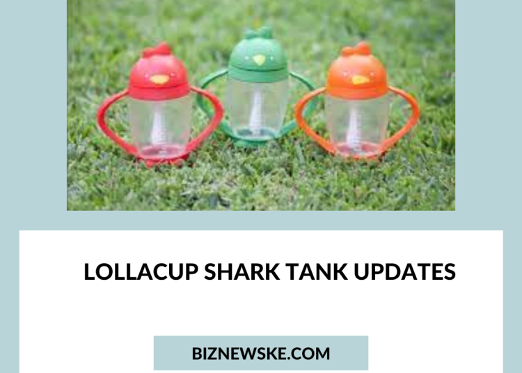 2024 Lollacup Shark Tank Update Lollacup after Shark Tank