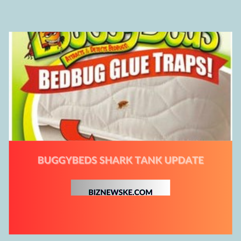 Buggybeds Shark Tank Update