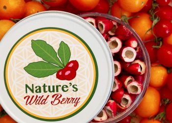 What Happened To Nature’s Wild Berry After Shark Tank?
