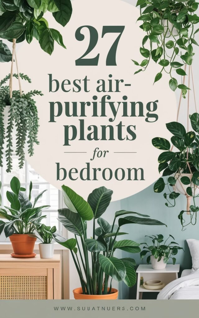 Best Air-Purifying Plants for Bedroom